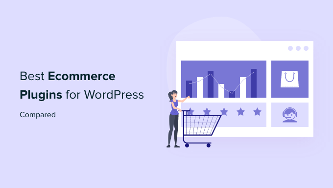 The Best WordPress Ecommerce Plugins for Your Online Store – 2024