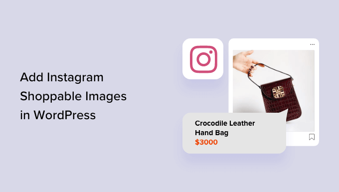 How to Create an Instagram Shopping Experience on Your WordPress Site